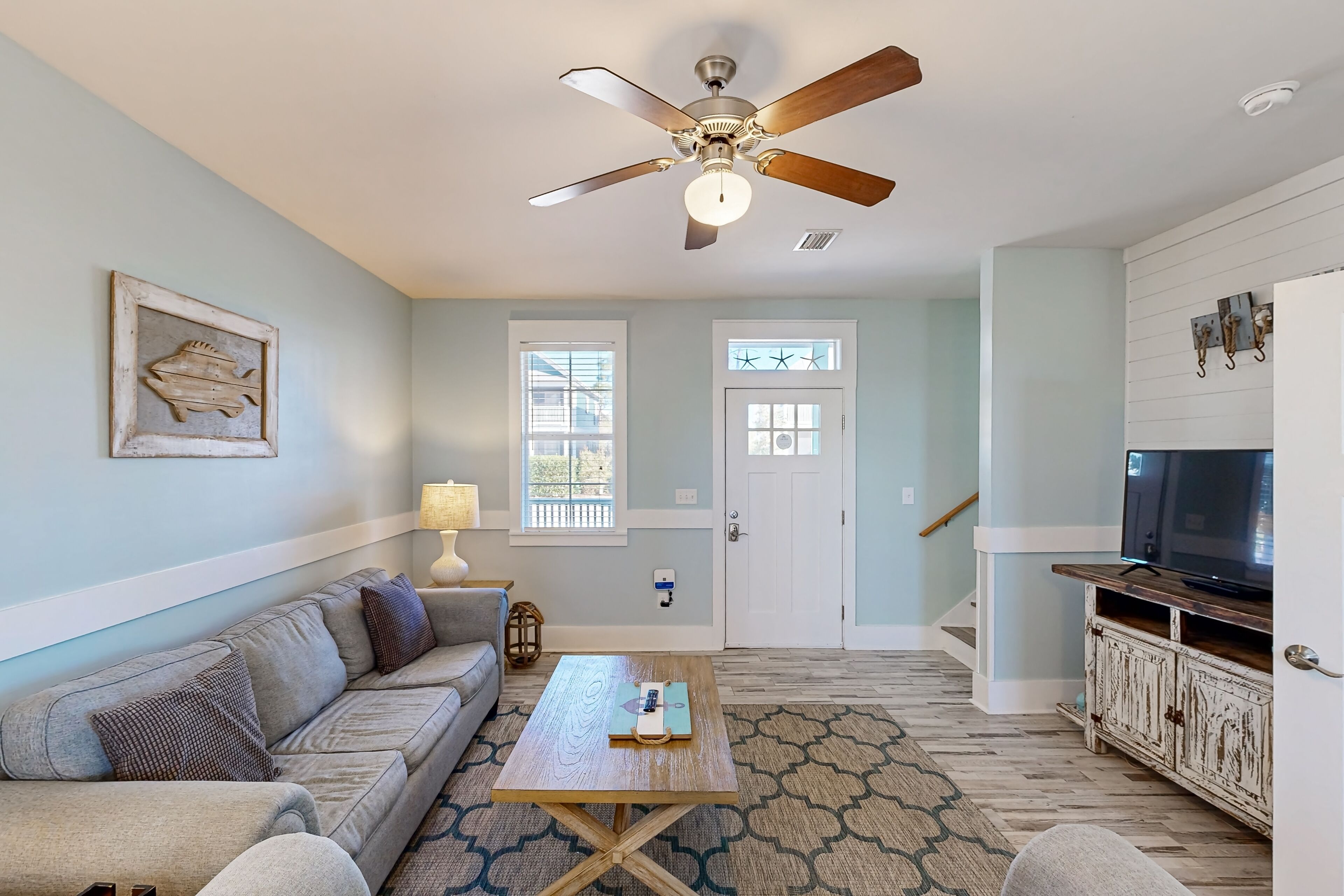 電視、DVD 播放機