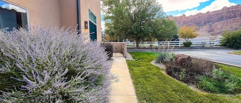 A building with a paved walkway, a tree, and a view of a mountain range.