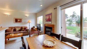 Télévision, cheminée, lecteur de DVD