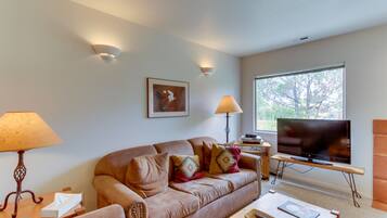 Télévision, cheminée, lecteur de DVD