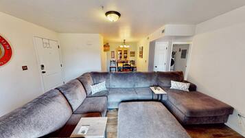 电视、DVD 播放器