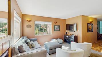 TV, fireplace, DVD player