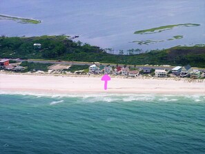 A beach with houses and a pier. - Beach Front, dog friendly, 20 steps to Beach! (Cape San Blas)