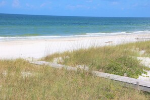 On the beach - Beach Front, dog friendly, 20 steps to Beach! (Cape San Blas)