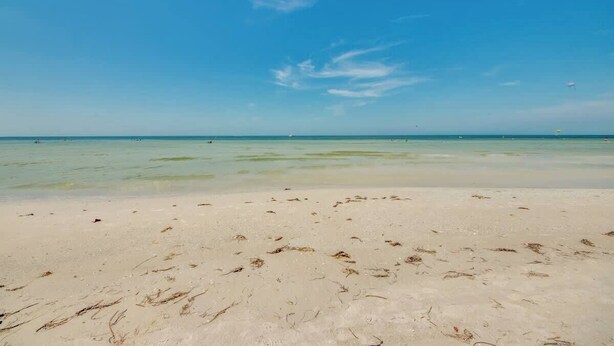 A beach with clear water and a sandy shore. - Carlos Pointe #531 Cozy Beachfront Condo (Fort Myers Beach)