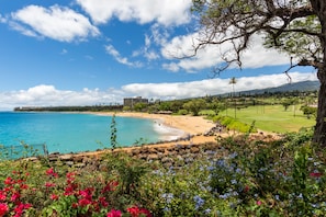 Una playa cerca