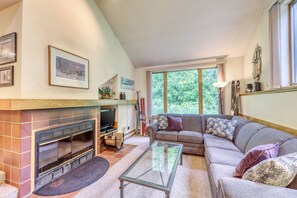 テレビ、暖炉、DVD プレーヤー、ステレオ