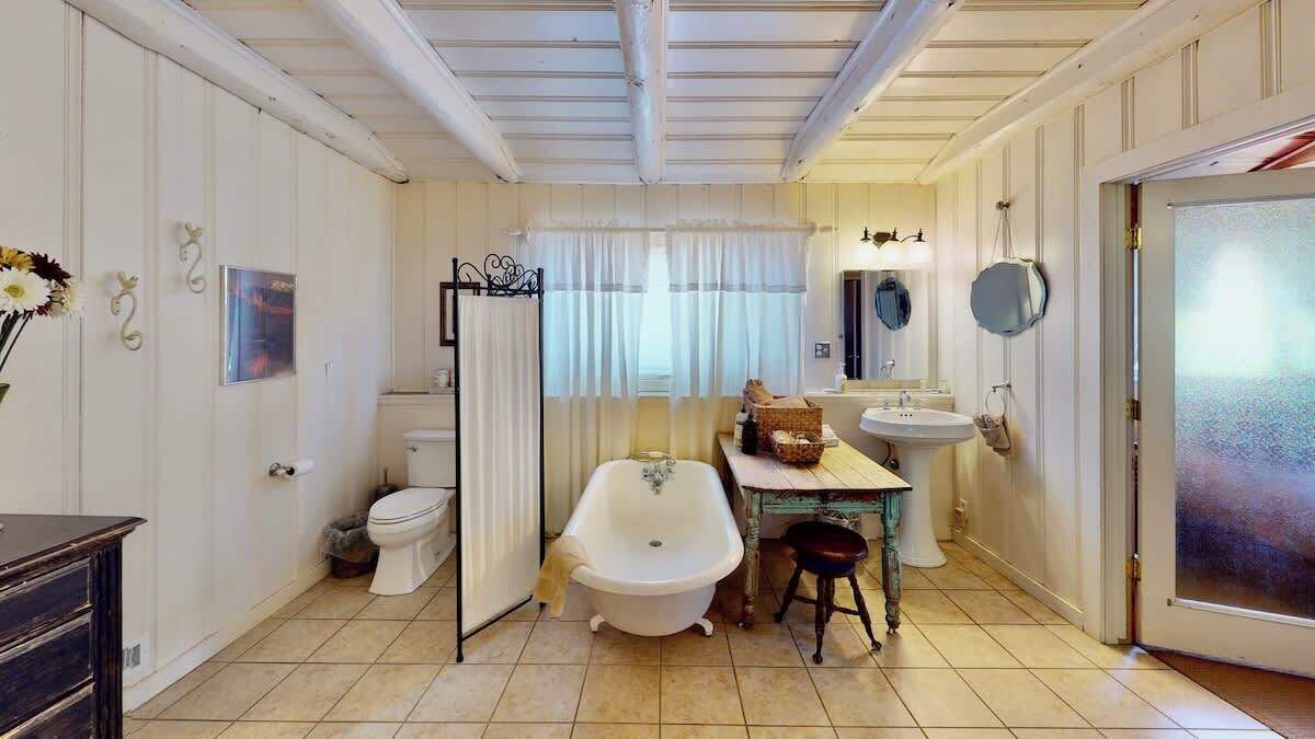 Shower, hair dryer, shampoo