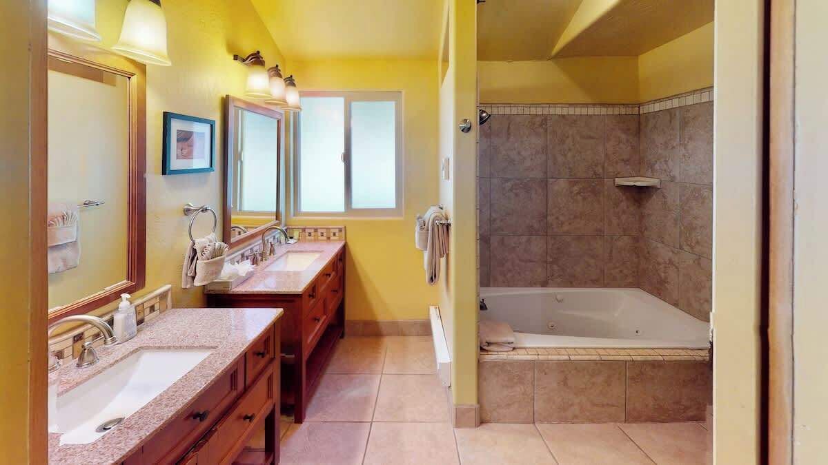 Shower, hair dryer, shampoo