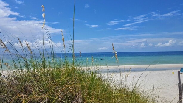 A beach with clear turquoise water, white sand, and tall grasses in the foreground. - 2 minute walk to the beach, stores and restaurants (Cape San Blas)