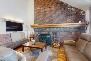 TV, fireplace, books