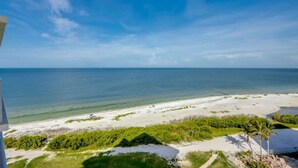 A beach view with clear skies, a sandy shore, and some greenery.