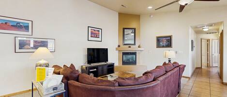 TV, fireplace, DVD player, books