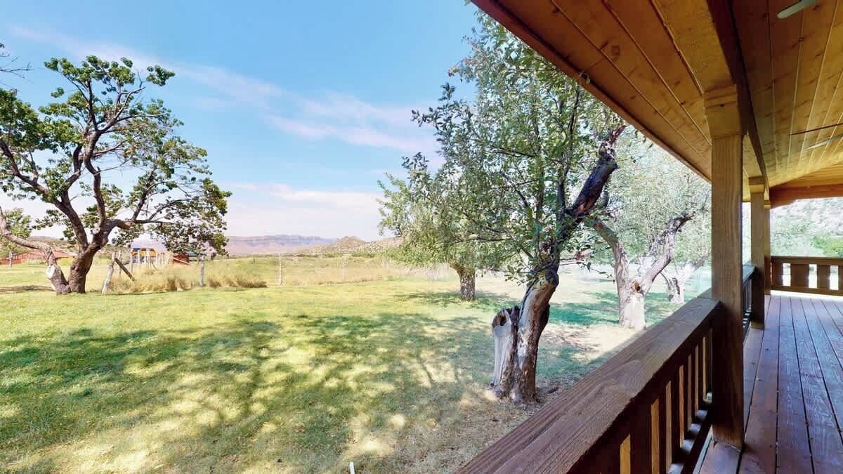 Ein überdachter Außenbereich mit Holzterrasse und Blick auf ein grasbewachsenes Feld mit Bäumen.