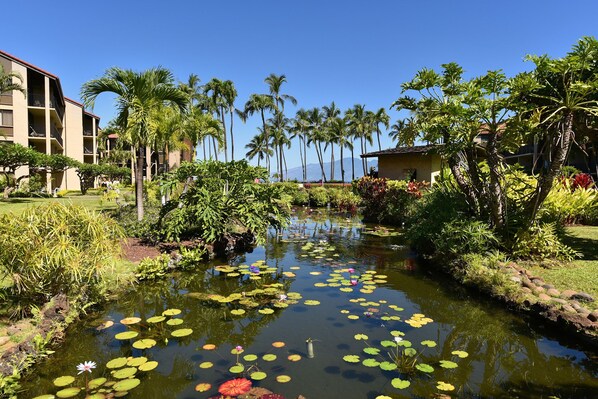 Un jardin paisible avec un étang bordé de palmiers et de différentes espèces de plantes.