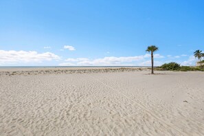 Unclassified image, 3 of 49, button