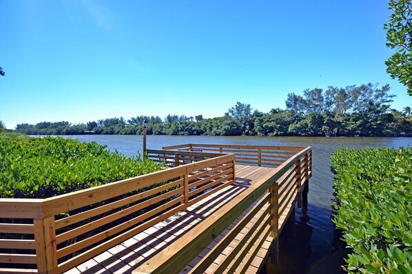 A wooden dock extending into a calm body of water, surrounded by lush greenery.