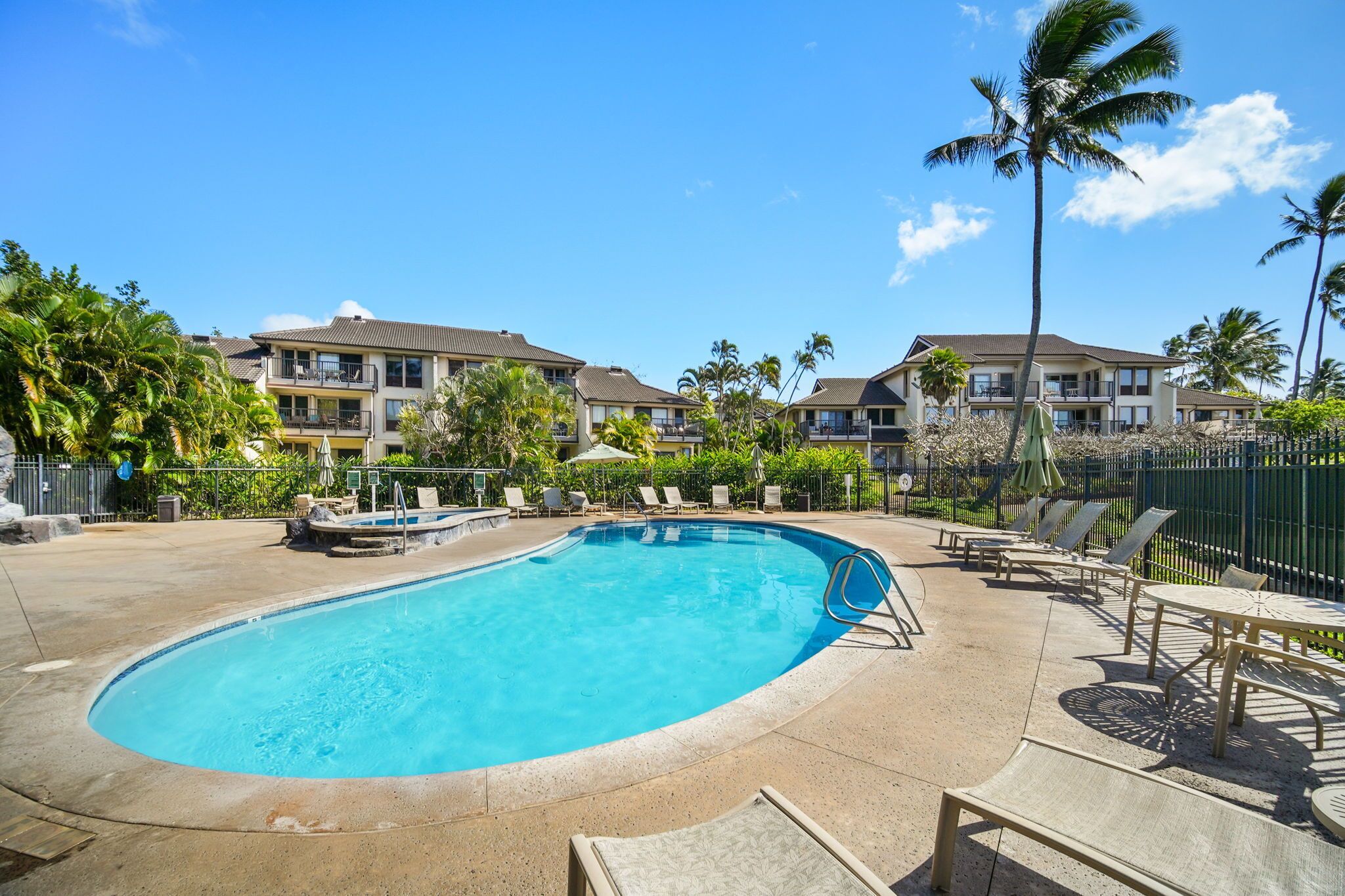 A swimming pool with lounge chairs and umbrellas, surrounded by palm trees and a fence.