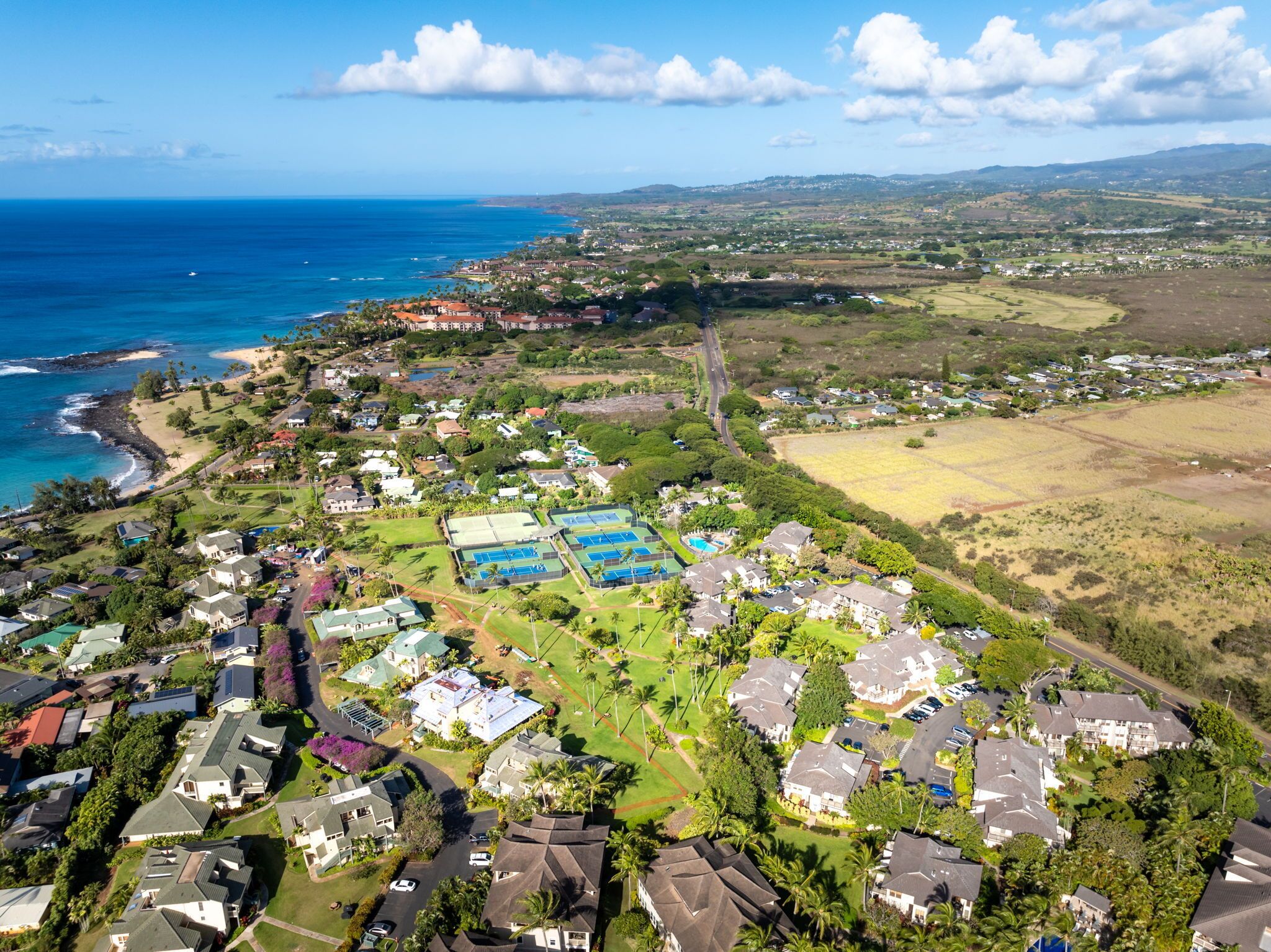 An aerial view of a coastal residential area with houses, a beach, and a large pool complex.