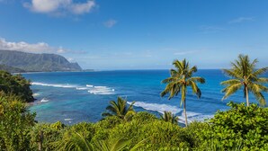 A coastal landscape with clear blue waters, palm trees, and lush greenery.