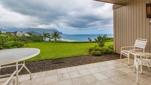 A patio with a table and chairs, a view of the ocean, and a grassy area with plants.