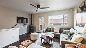 Télévision, cheminée, lecteur de DVD