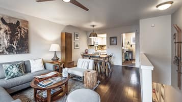 TV, fireplace, DVD player