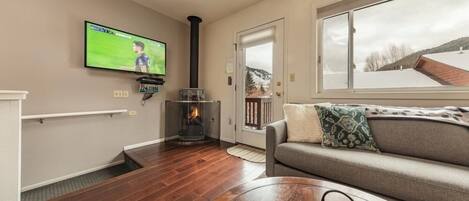 Televisión, chimenea, reproductor de DVD