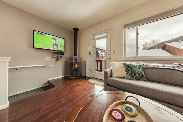 TV, fireplace, DVD player