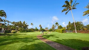En velholdt golfbane med en tydelig sti, frodig græs og palmer.
