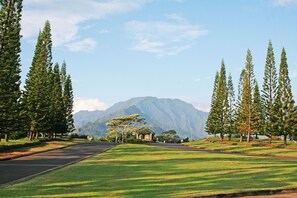 Property grounds - Sealodge B-9, Charming corner unit-atop the cliffs on North Shore of Kauai. (Princeville)