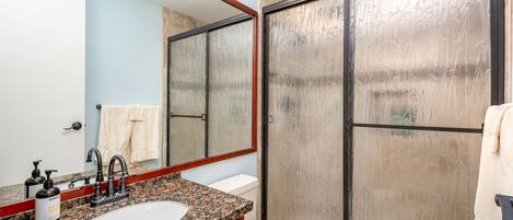 Une salle de bain avec un lavabo à vasque en granit, un miroir, des toilettes et une douche à parois de verre.