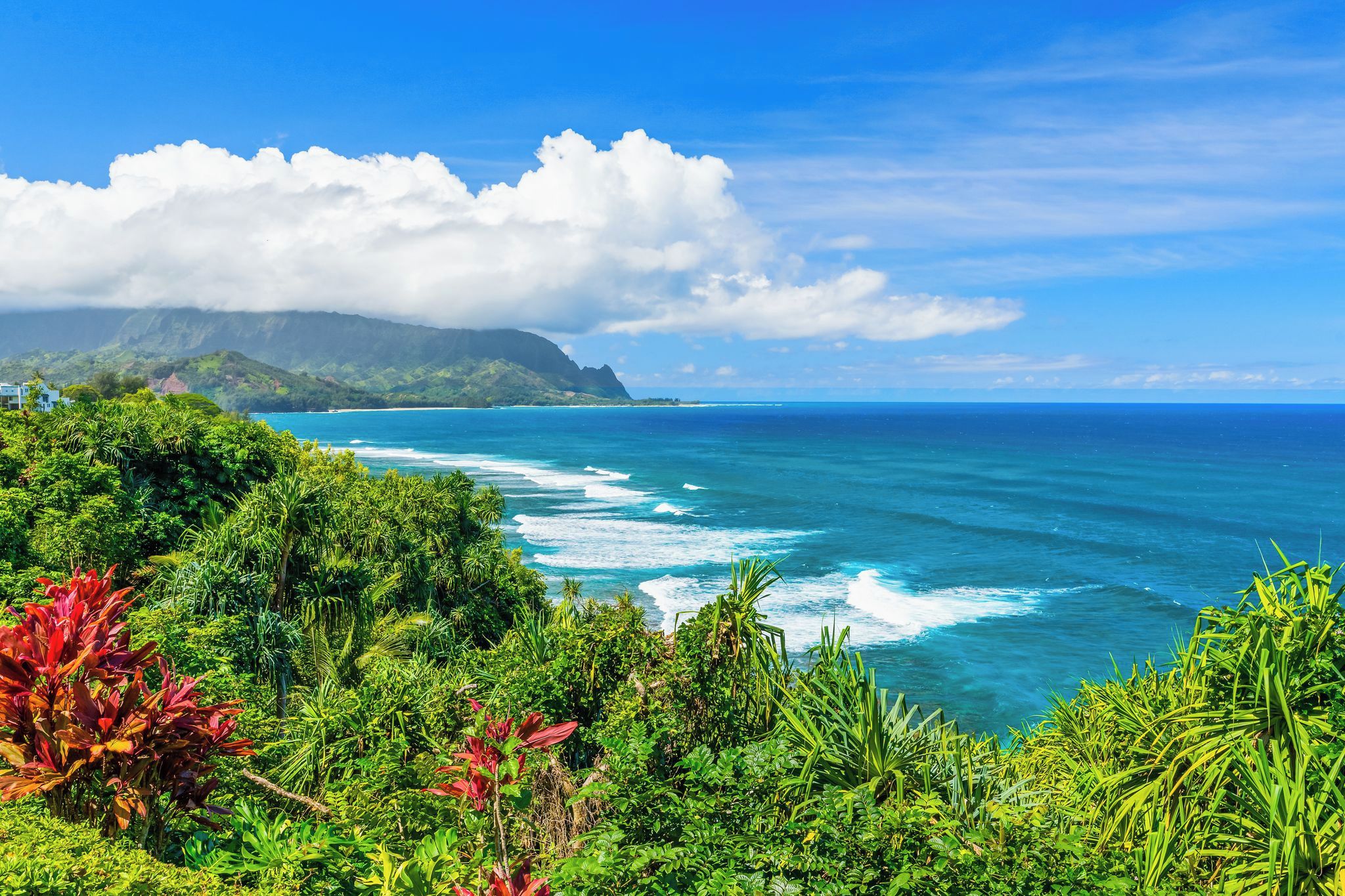 A coastal landscape with lush greenery and a view of the ocean.