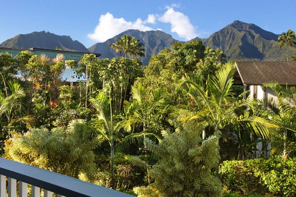 Àrea exterior de l'allotjament