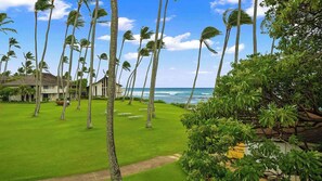 A well-maintained lawn with tall palm trees, a pathway, and a view of the ocean.