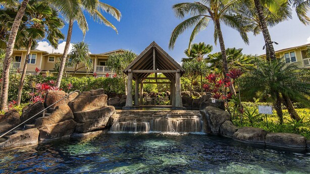 A water feature with a gazebo, palm trees, and a pool area.