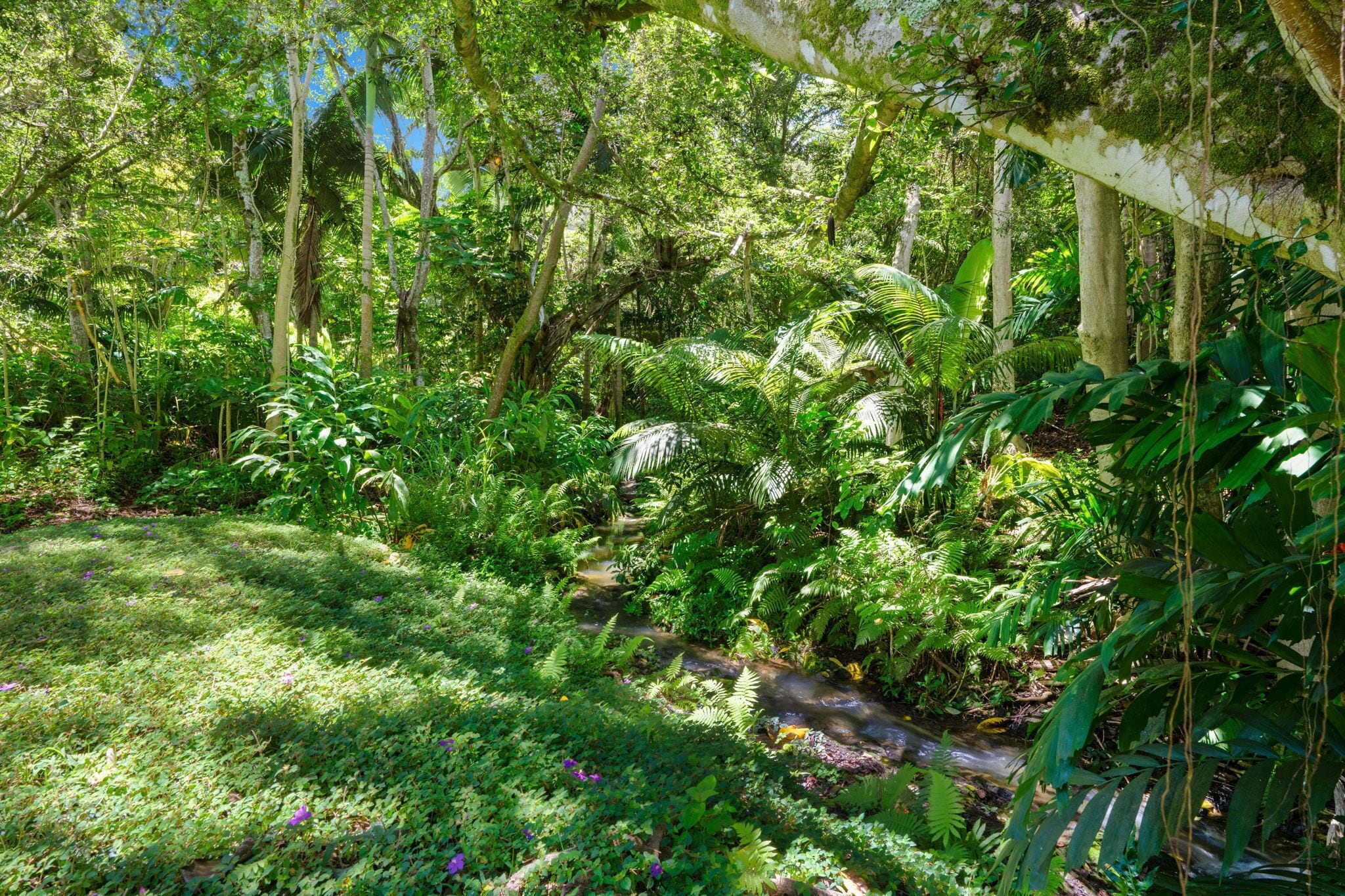 North Shore Hideaway - as seen on HGTV - Photo 16