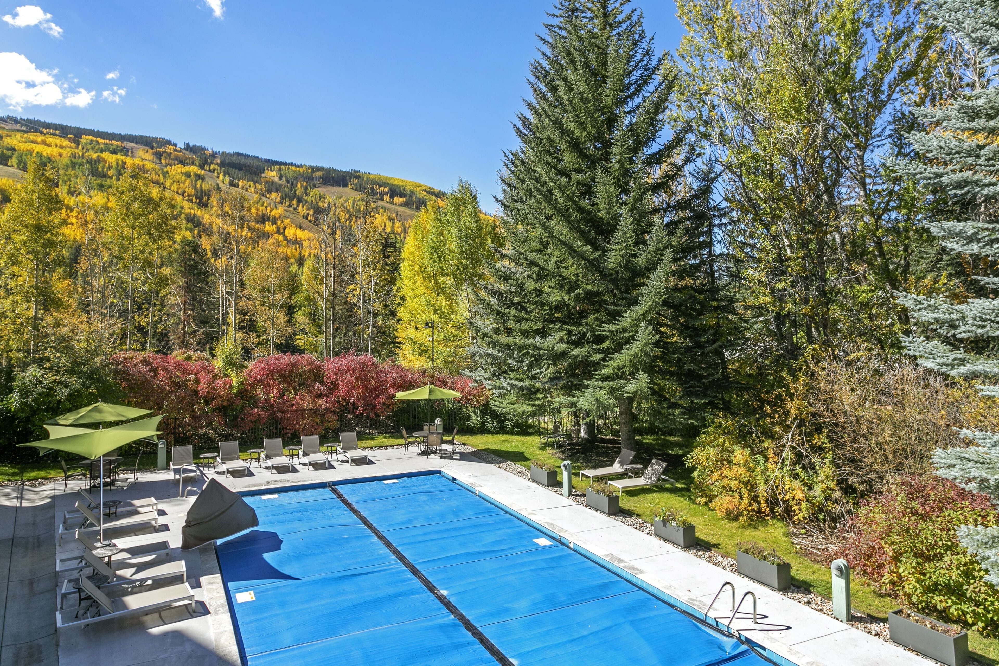 Une piscine rectangulaire recouverte d’une bâche bleue, entourée de chaises longues et de parasols, le tout se dressant sur un fond d’arbres aux couleurs automnales et d’un ciel dégagé.