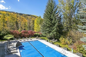 Piscine chauffée