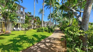 A pathway flanked by lush greenery and palm trees leading to a multi-story hotel with balconies and outdoor seating areas.