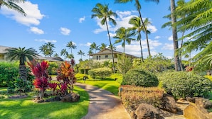 A tropical resort with a paved pathway leading to a building surrounded by palm trees and lush greenery.