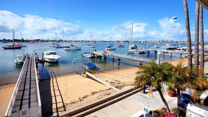 A marina with boats docked, a pier extending into the water, and palm trees.