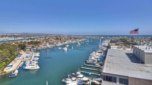 A marina with numerous boats docked in a harbor, surrounded by buildings and greenery. - 1005 E. Balboa A | Gorgeous Oceanfront w/ HUGE patio (Newport Beach)