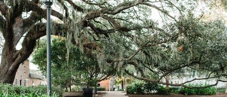 المنطقة المحيطة بالمنشأة