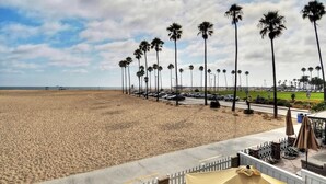A beach with a row of palm trees and a parking area with umbrellas.