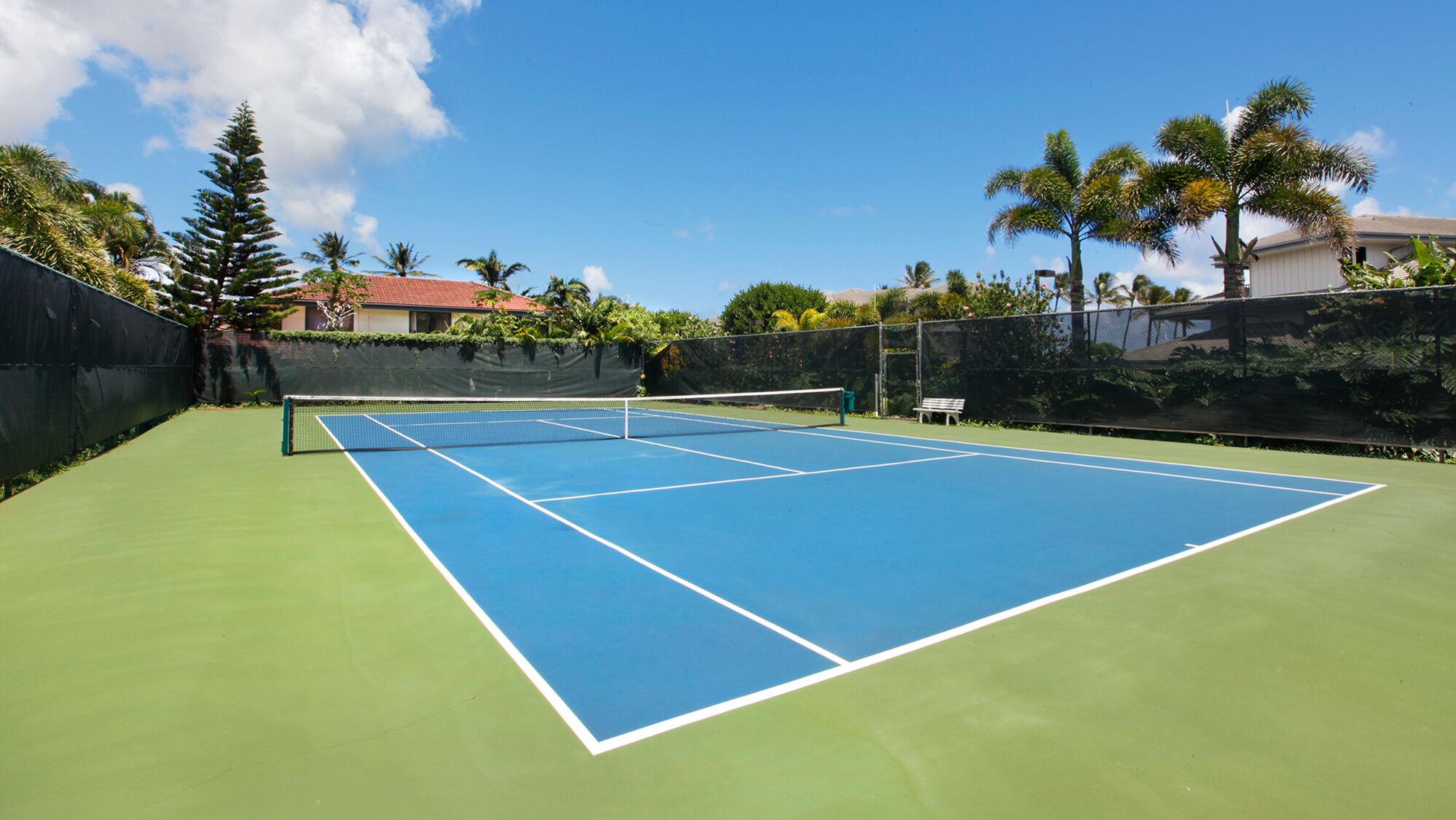 Un court de tennis en plein air, doté d’un filet et entouré de verdure et de palmiers.