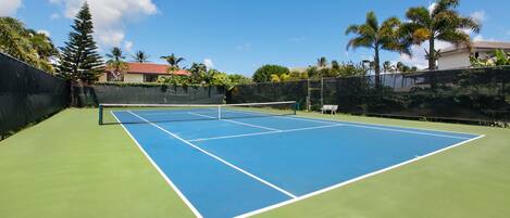 Un court de tennis en plein air, doté d’un filet et entouré de verdure et de palmiers.