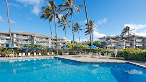 Relax by the resort's pool surrounded by palm trees and lounge chairs.