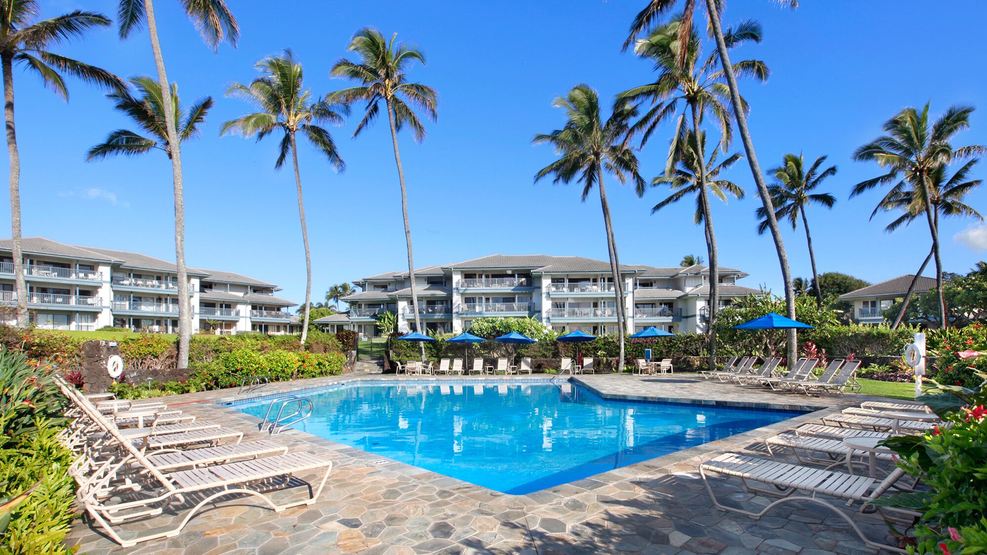 Un hôtel doté d’une piscine entourée de palmiers et de chaises longues.