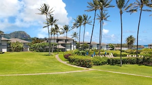 A resort with multiple-story buildings, a well-maintained lawn, and palm trees.